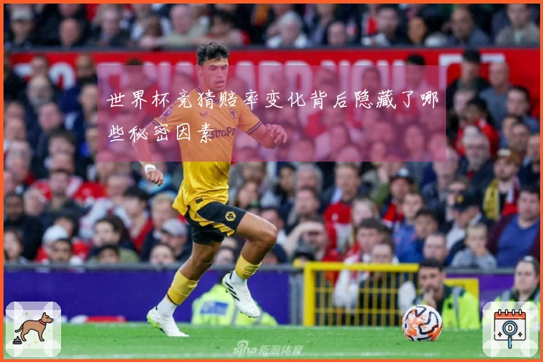 世界杯竞猜赔率变化背后隐藏了哪些秘密因素