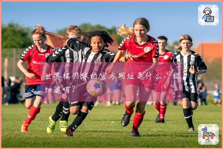 世界杯买球的官方网址是什么，你知道吗？