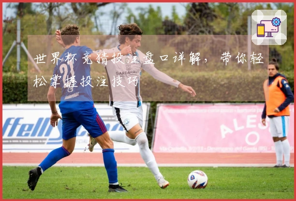 世界杯竞猜投注盘口详解，带你轻松掌握投注技巧