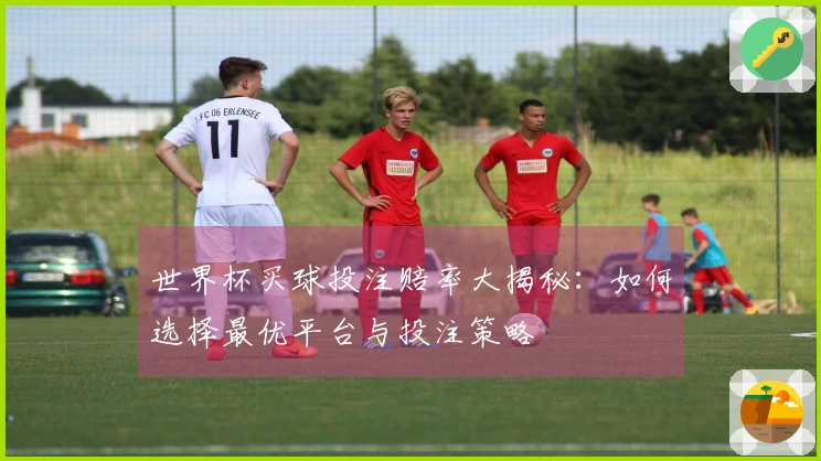 世界杯买球投注赔率大揭秘：如何选择最优平台与投注策略