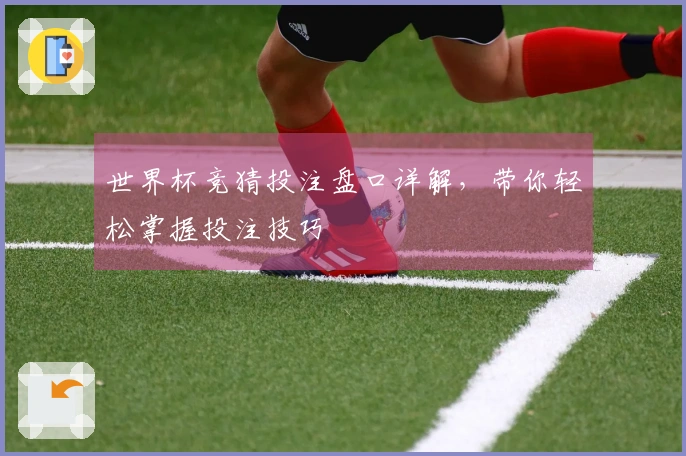 世界杯竞猜投注盘口详解，带你轻松掌握投注技巧