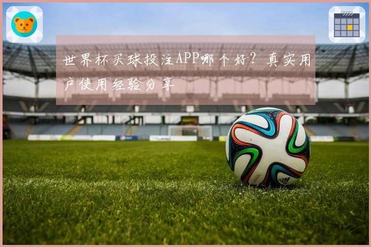 世界杯买球投注APP哪个好？真实用户使用经验分享
