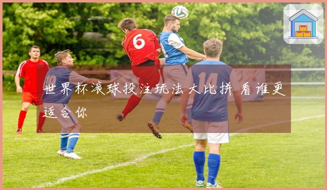 世界杯滚球投注玩法大比拼 看谁更适合你